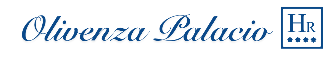 Hotel Rural Olivenza Palacio